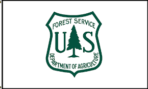 forest-service