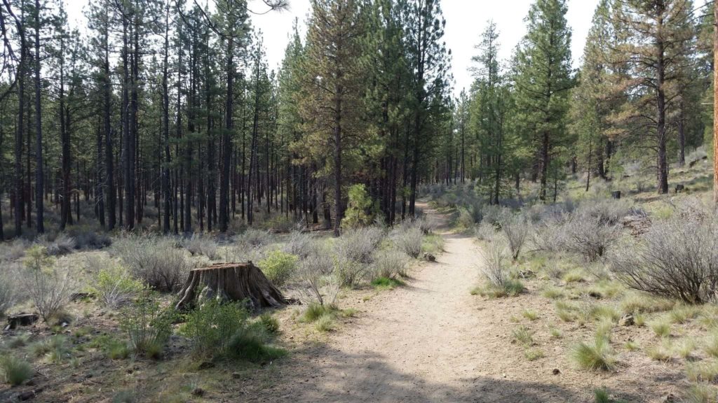 shevlin-park-trail-bend-city