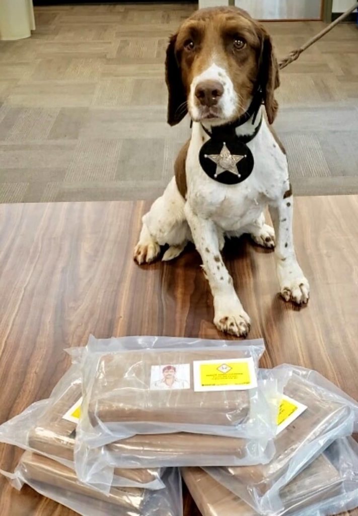 k9_marley-fentanyl_seizure_09282022-2