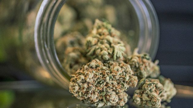 gettyrf_102522_marijuanabudsd