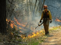 pile-burning