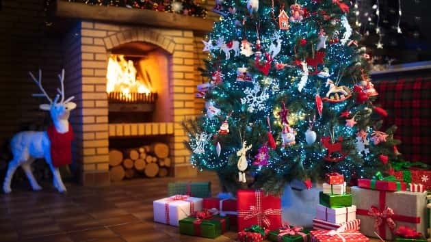 istock_121019_christmasstree