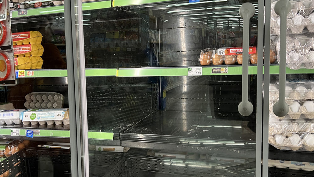 wherearetheeggs-1000x563383810-1