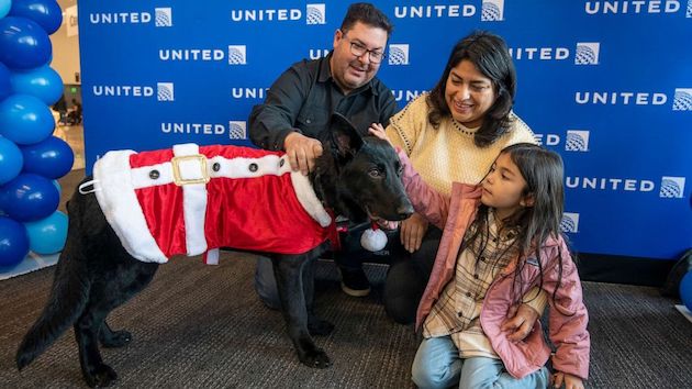 getty_4723_dog809984