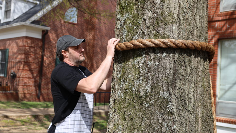 shea-hembrey-1000x563848328-1