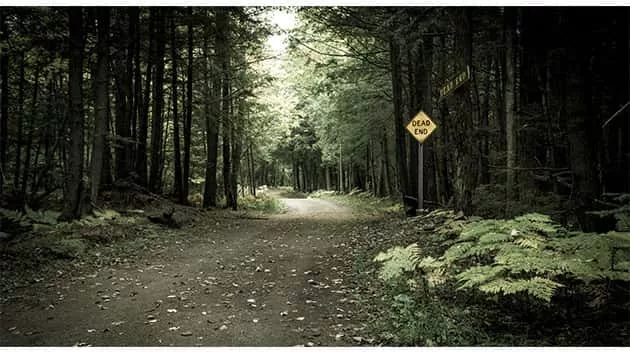 081717_thinkstock_forest61141