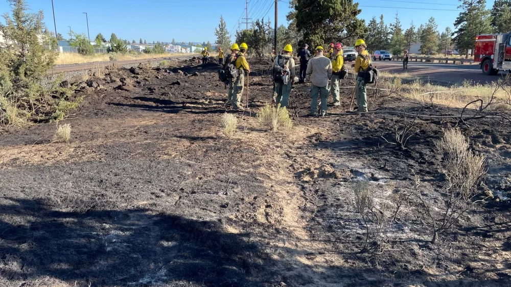 south_view_-_2023-07-18169300