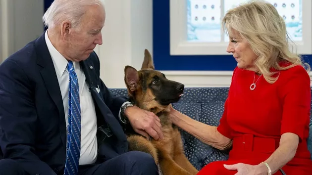 gettyimages_commanderbiden_072523908622