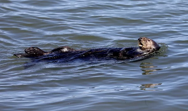 gettyimages-1546732542584546