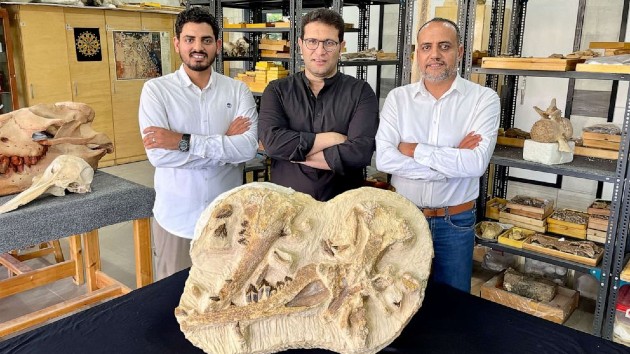 whale-1-ht-bb-230809_1691592951928_hpembed_4x3_992866584