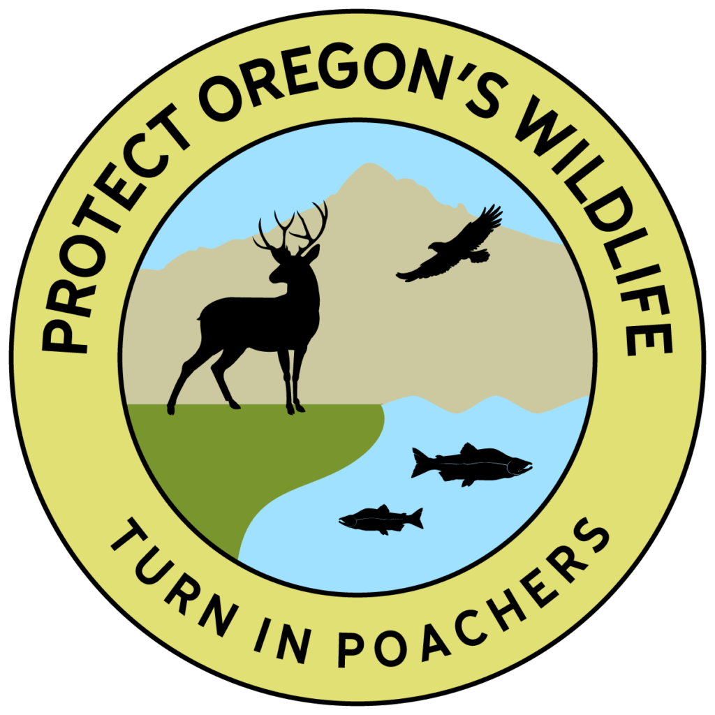 State Launches AntiPoacher Campaign KBNWAM Horizon Broadcasting