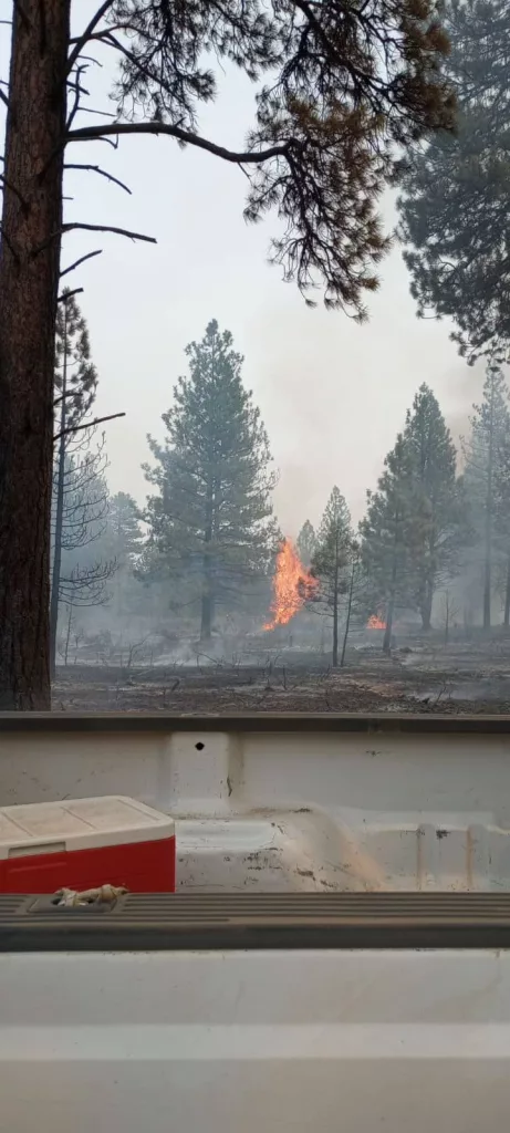 juniper_creek_fire2338558