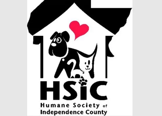 hsic-featured-2786018