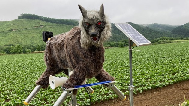 japan-wolf-led_1698735614251_hpmain_4x393135