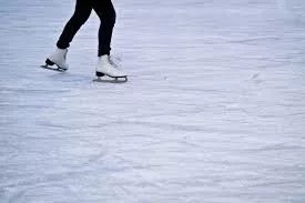 ice206320