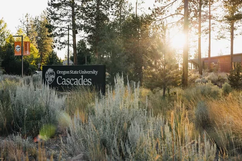 osu_cascades914813