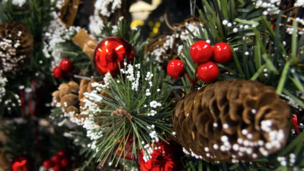 christmas-tree-stock-pic-martin-vorel-1000x563645886-1