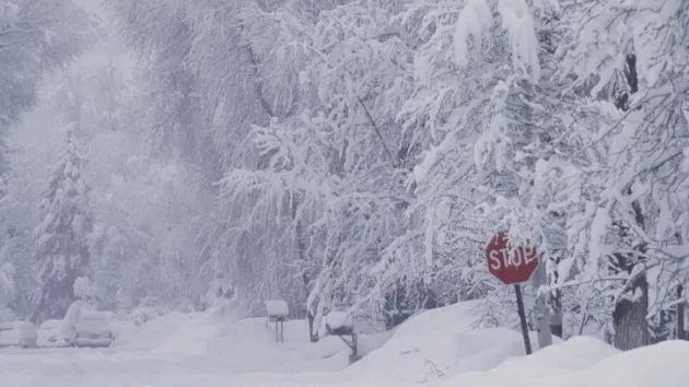 gettyimages-520141948852628