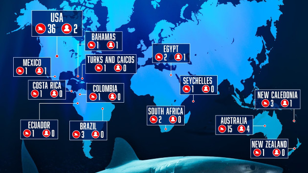 Ten People Killed In Unprovoked Shark Attacks Last Year Report Finds 