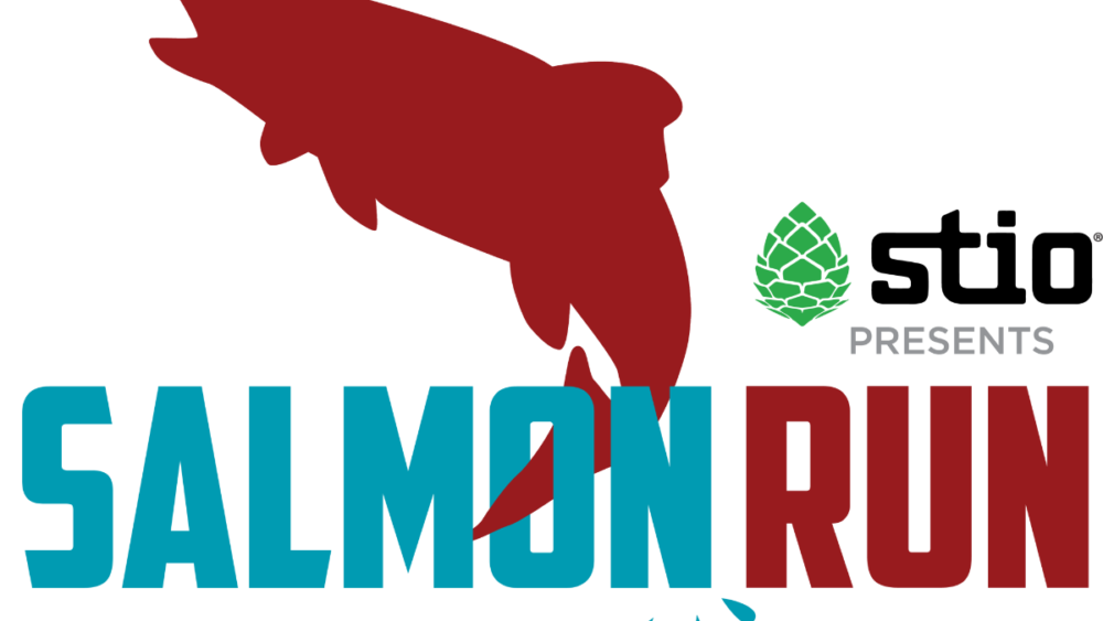 salmon_run_2429664