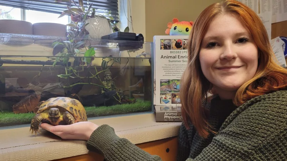 alison-koons-1000x563134063-1