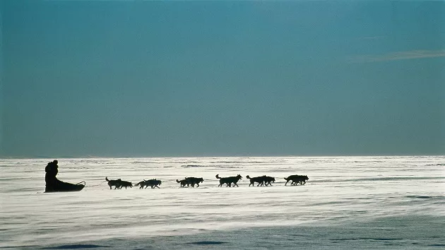 getty_031524_dogsledding883697