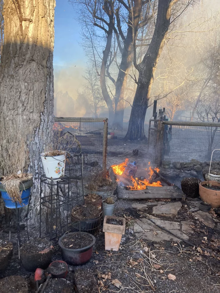 arson_alfalfa_market_road2-rotated512050