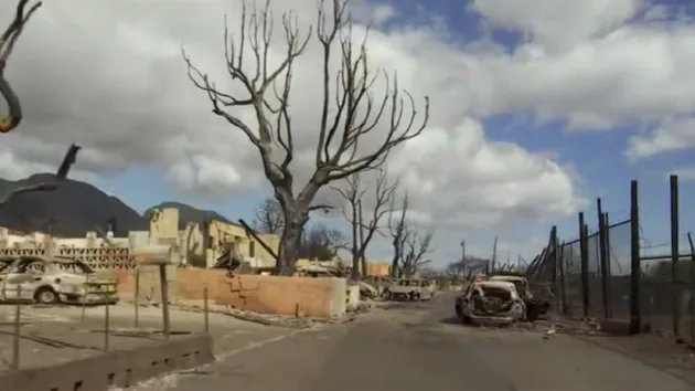 032024_abcnews_maui385973