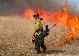 prescribed-burn842948