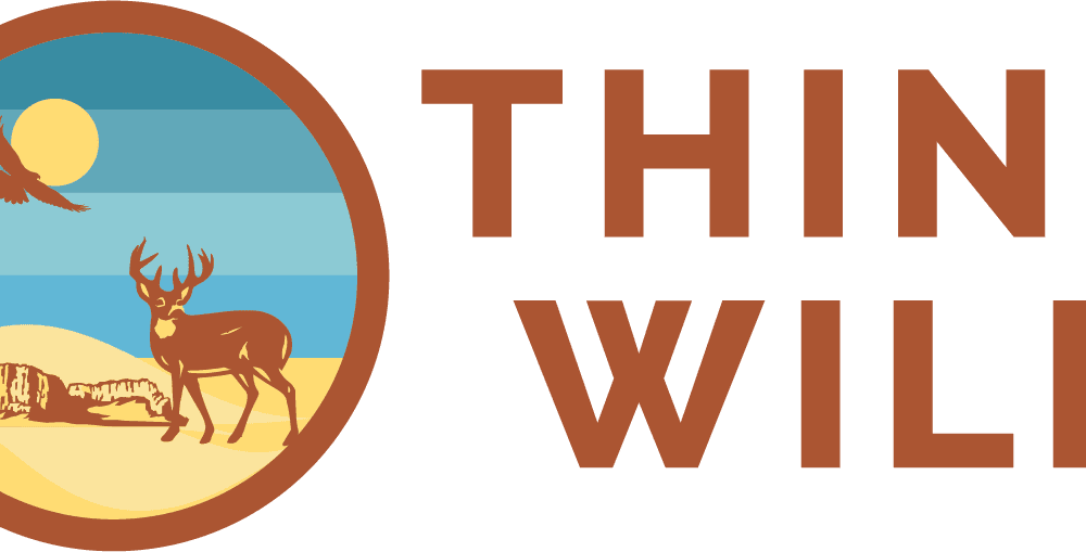 think_wild302030