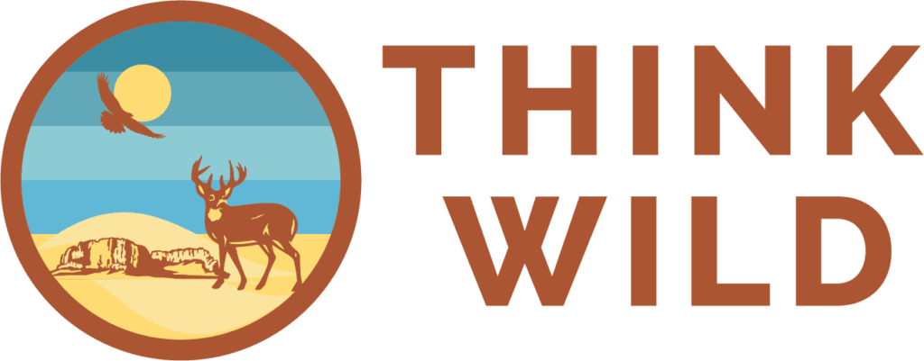 think_wild302030