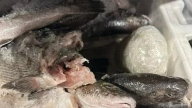fishmeth_1713434530770_hpmain863814