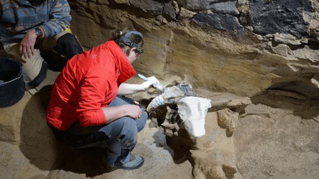 yannikmerkl_mammothbones_052324734296