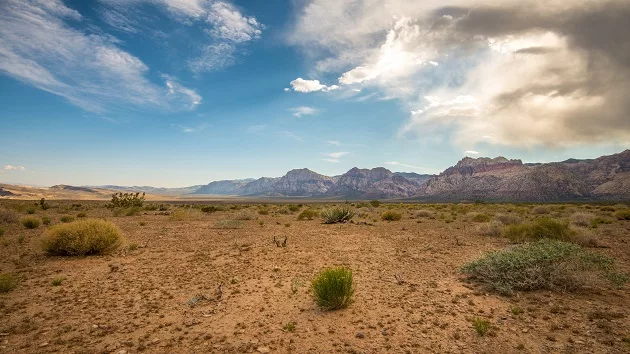 getty_062124_lasvegasdesert-stock503717