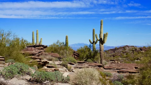 gettyimages_southmountainpark_070324515018