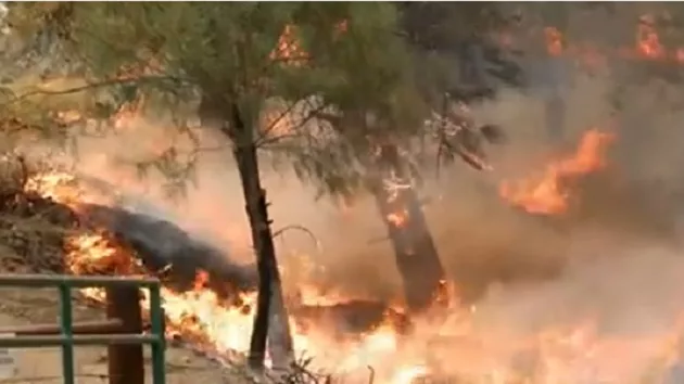 070824_abcnews_wildfire167781