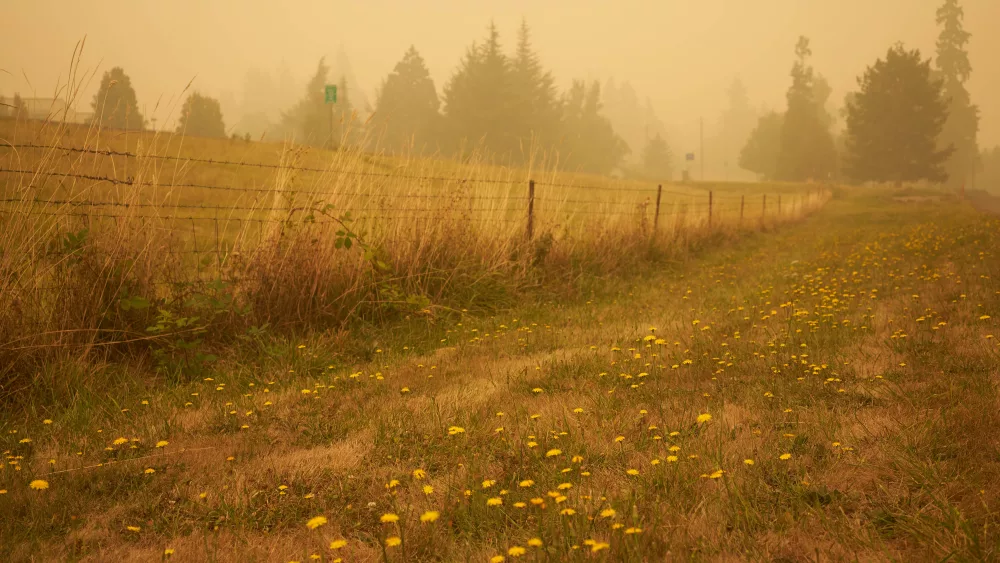 wildfire_smoke535206