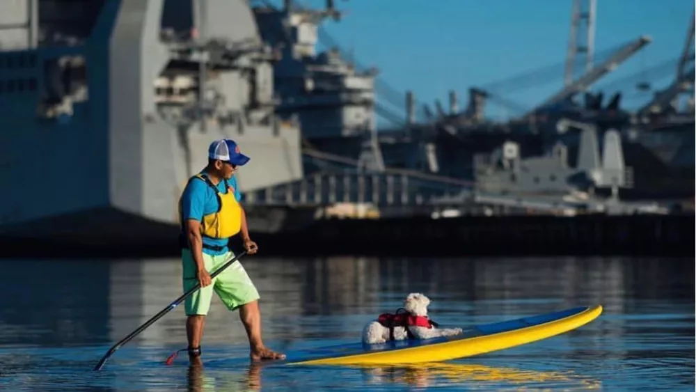 paddle_board_safety915599