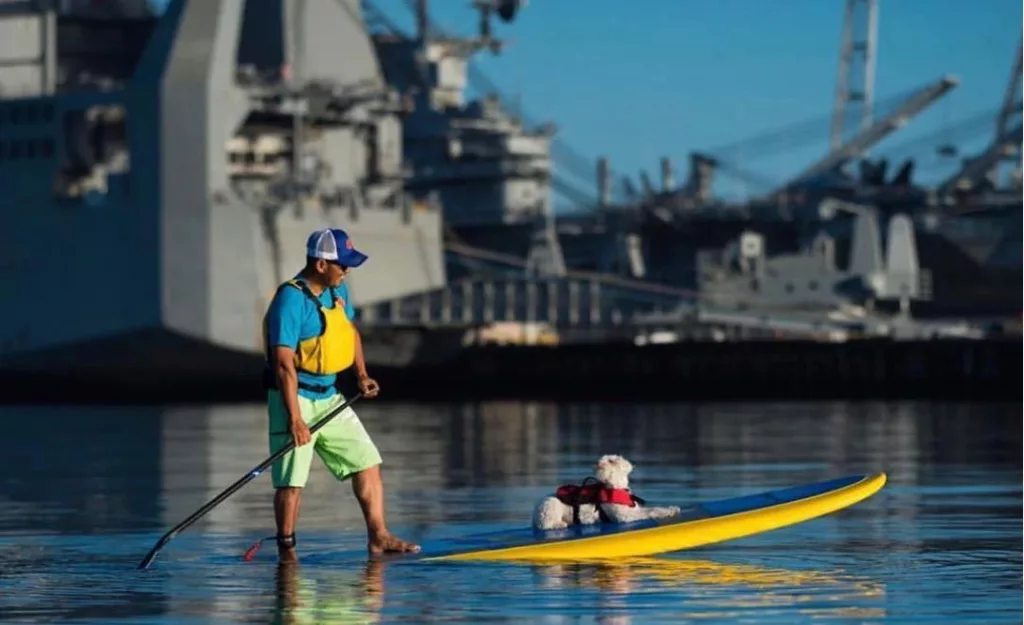 paddle_board_safety915599