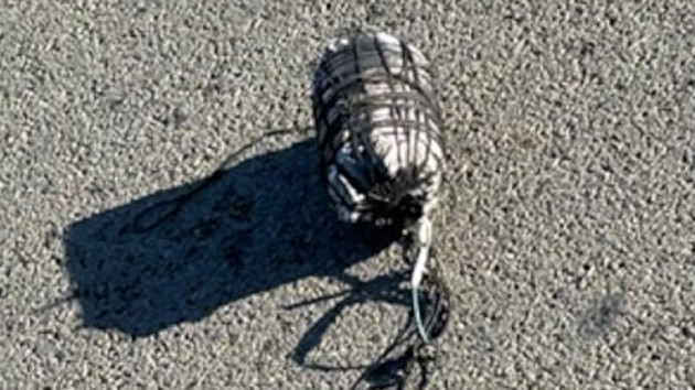 hawaii-1_1723616848023_hpmain_4x3813430