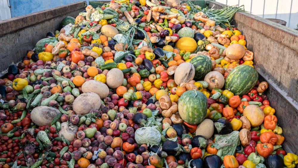 food_waste538536