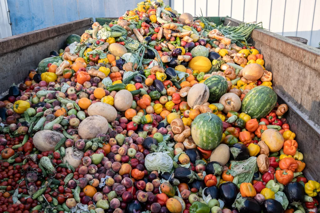 food_waste538536