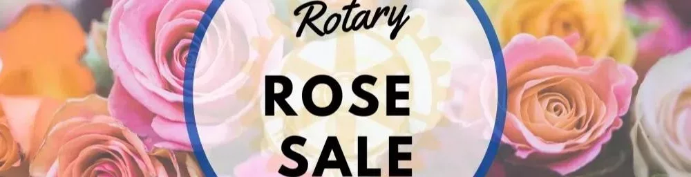 af1qipmv1y5xqtowxea6ag-giflvtigvcodescv5xew-w1024-h256191475