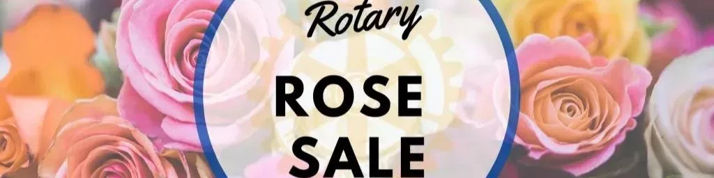 af1qipmv1y5xqtowxea6ag-giflvtigvcodescv5xew-w1024-h256191475