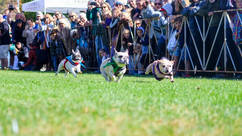 race-3-1-running299926