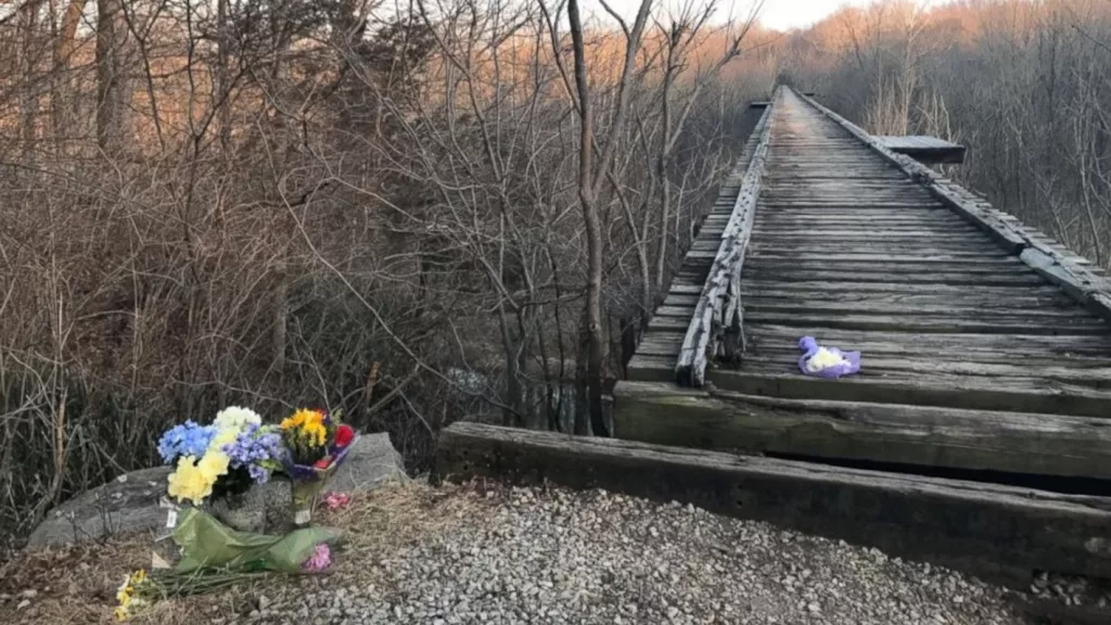 news_delphiindiana_102124656269