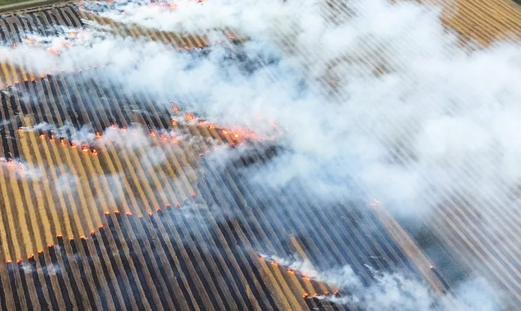 crop-burning-arkansas-department-of-agriculture-via-arkansas-advocate416218