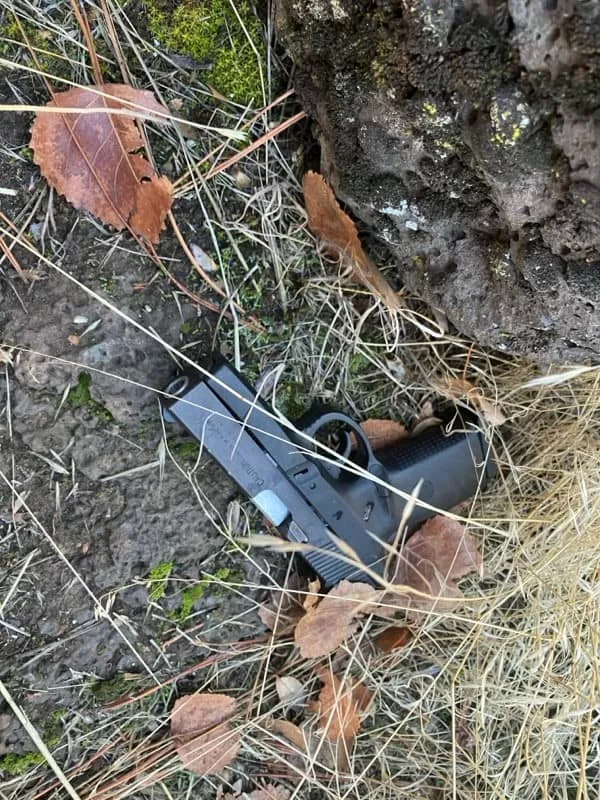 carjack_gun782982