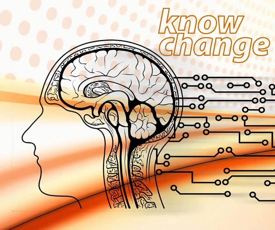 kchange-940x788px-jan2025236677