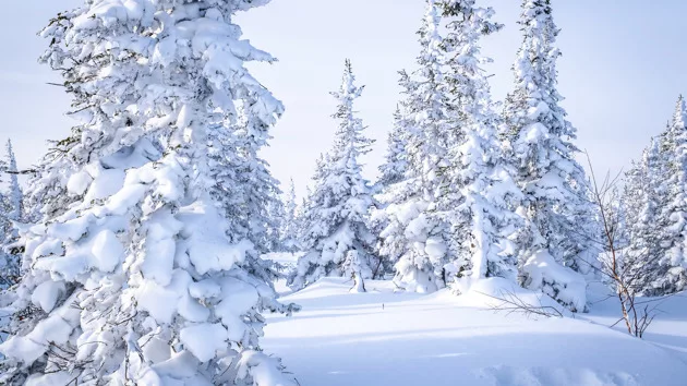 gettyrf_033023_heavysnow454942696606
